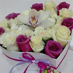Florissima Exklusiv, Lugoj