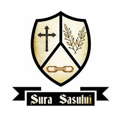 Şura Sasului, Amnaş