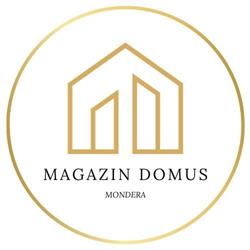 Magazin Domus, Satu Mare
