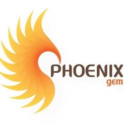 Phoenixgem, Timişoara
