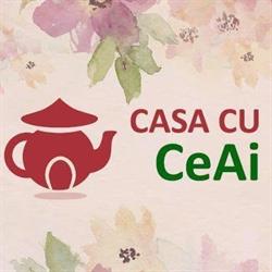 Casa Cu CeAi, Timişoara