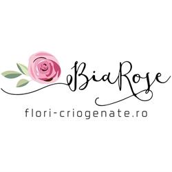 Flori Criogenate - BiaRose - Wide Flowers, Bucureşti