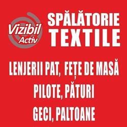 Vizibil Activ, Făgăraş