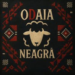 Odaia Neagra, Iaşi