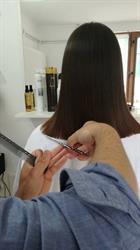 Salon New Style, Sibiu