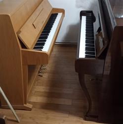Peter's Piano Shop, Reghin