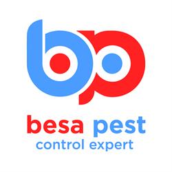 Besa Pest, Gherla