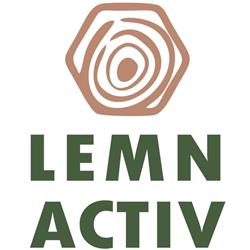 Lemn Activ, Borşa