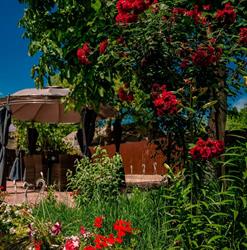 Cazare in Comuna Greci - Pensiunea Happy Flowers