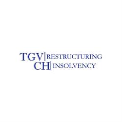 TGV-CH RESTRUCTURING & INSOLVENCY, Alba Iulia