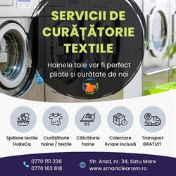 Smart Clean, Satu Mare