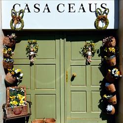 Casa Ceauş, Baia Sprie