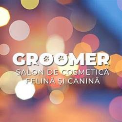Groomer - Salon de cosmetica felina si canina, Bucureşti