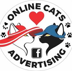 Online Cats Advertising, Cluj-Napoca