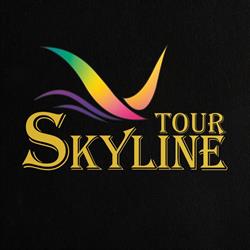 Agentia SkylineTour, Vaslui