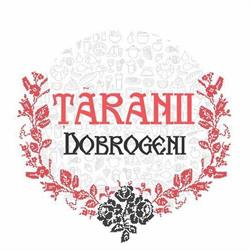 Magazinul Taranilor Dobrogeni Bratianu, Constanţa