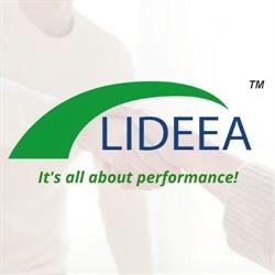 LIDEEA Development Actions, Timişoara