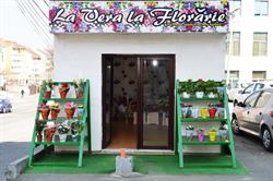 Floraria Vera - Florarie Tulcea
