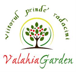 ValahiaGarden - Depozit - Plante exotice, fructifere si ornamentale CRAIOVA, Craiova