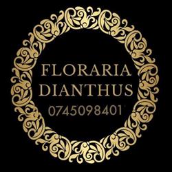 Floraria Dianthus - Florarie online Constanta, Livrare flori Constanta