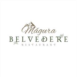 Belvedere Măgura