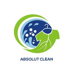 Absolut Clean, Constanţa