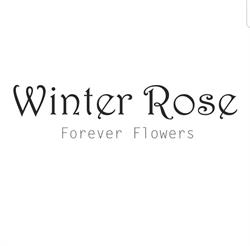 Winter Rose, Floreşti