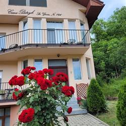 Casa Patryk, Orşova
