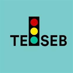 Scoala de soferi Teoseb, Târgu Ocna