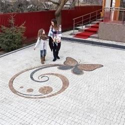 SC PETIT SRL, Moineşti
