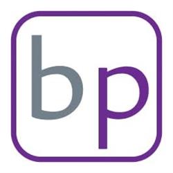 Business PARTNERS, Timişoara