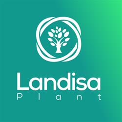 Landisa Plant, Arad