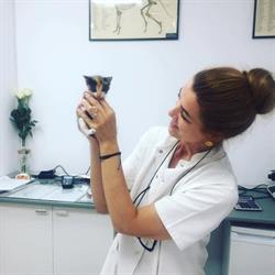 Cabinet Veterinar Medi Vet Constanta