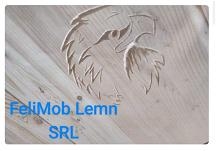 FeliMob Lemn SRL, Dăeşti