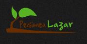 Vatra Lotrilor- punct gastronomic local & cazare, Voineasa