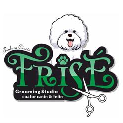 FrisE Grooming Studio & SPA -Salon tuns caini si pisici Timisoara