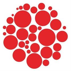 OAMENI SI COMPANII SRL, Iaşi