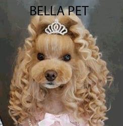 BELLA PET- Frizerie canină şi felină, Piatra-Neamţ