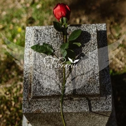 Servicii Funerare Botosani - Casa Funerara Florariu - Pompe Funebre Botosani