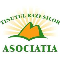 Asociatia Tinutul Razesilor, Ştefan cel Mare