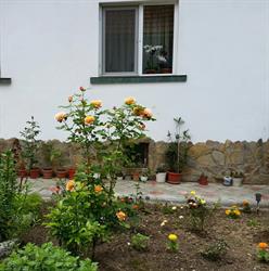 Casa Ionut, Zărneşti