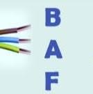 BAF Electric Systems, Chişoda