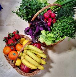 Fruits Bazar Delivery, Bucureşti