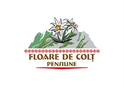Pensiunea Floare De Colţ, Poiana Galdei