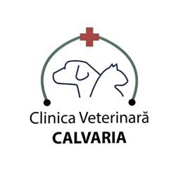 Clinica Veterinară Calvaria, Floreşti