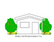BOBIŢI PATRICIA-ICONIA PERSOANĂ FIZICĂ AUTORIZATĂ, Drobeta-Turnu Severin