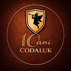 Codaluk, Cluj-Napoca