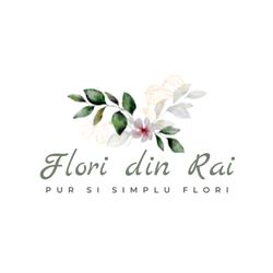 Flori din Rai, Baia Mare