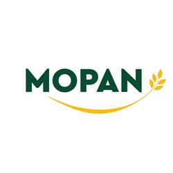 MOPAN - MAGAZIN POARTA SV - MOP217, Suceava