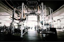 Body Factory, Făgăraş